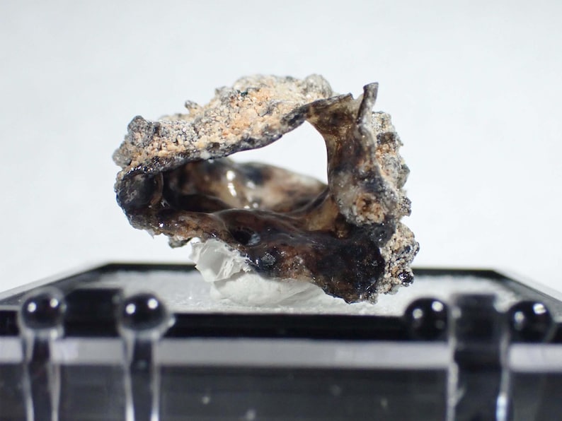 May include: A small, irregular, and porous mineral specimen with a rough, textured exterior in shades of beige and gray. The interior features a smooth, glossy, and dark brown to black cavity with a hollow, organic, and asymmetrical shape.
