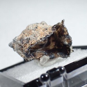 May include: A raw, irregular mineral specimen featuring a dark, glossy, and cavernous interior contrasted by a rough, textured, and sandy-colored exterior surface. The specimen is displayed within a small, black, square-shaped storage container.
