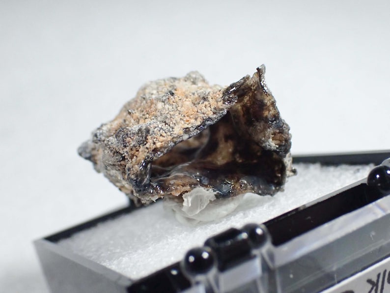May include: A raw, irregular mineral specimen featuring a dark, glossy, and cavernous interior contrasted by a rough, textured, and sandy-colored exterior surface. The specimen is displayed within a small, black, square-shaped storage container.