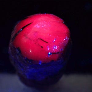 May include: A rounded, polished stone displaying a vibrant, glowing neon red surface under ultraviolet light. The stone features dark, thin, linear inclusions across its smooth, dome-shaped top, contrasting with the intense red luminescence.