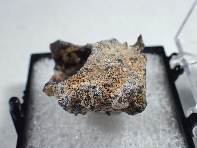 May include: A rough, irregular meteorite fragment featuring a textured surface with a mix of dark charcoal-gray and light tan, sandy-colored mineral deposits. The specimen is displayed resting on a white foam insert inside a black plastic case.