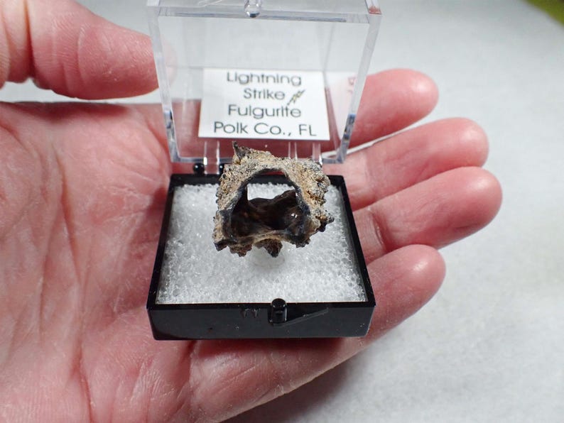 May include: A small, hollow, tan and dark brown fulgurite specimen displayed inside a clear plastic box with a black base. A white label inside the lid reads: Lightning Strike Fulgurite Polk Co., FL. The specimen rests on white foam padding.