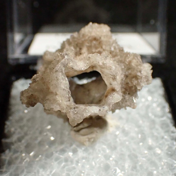 Fulgurite from Florida. Hollow Tube. Natural stone. Petrified lightning glass. Display box. 5_6