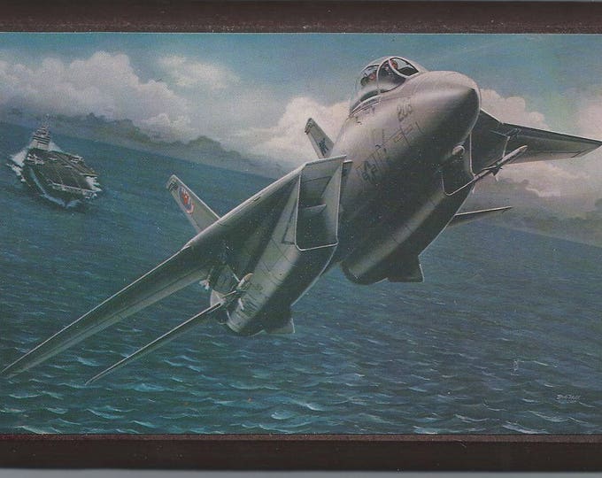 Framed 4" X 6" painting of a Grumman F-14 Tomcat launching from a carrier. Designed to hang on a wall or can be displayed on a shelf or desk