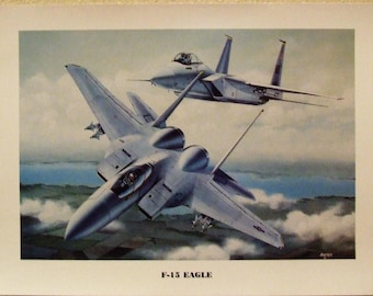 12" X 16" unframed print of two McDonnell Douglas F-15 Eagles in hot pursuit of their prey!