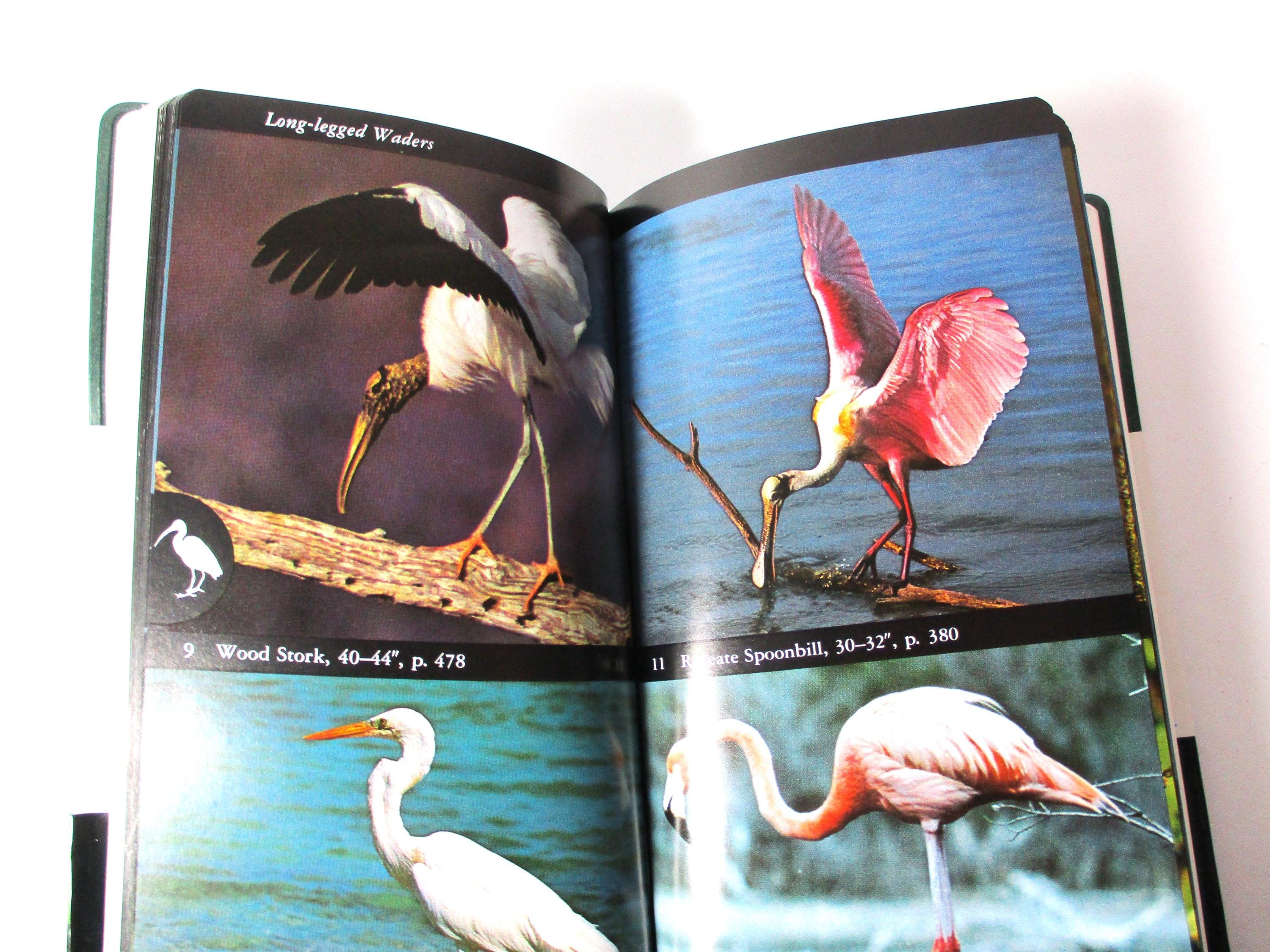 Audubon Society Field Guide to North American Birds Eastern Region