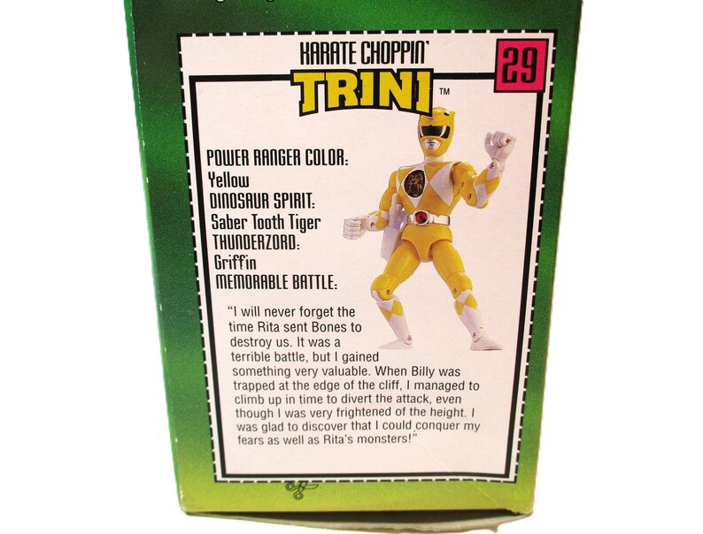 Mighty Morphin Power Rangers Karate Chopping Trini TS2925 - Etsy