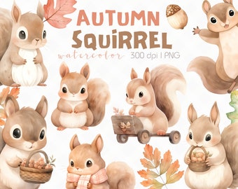 19 Baby Squirrel Watercolor Clipart, Cute Woodland Animal Illustration, Autumn Animal Art, Nursery Decor, Woodland Creatures PNG
