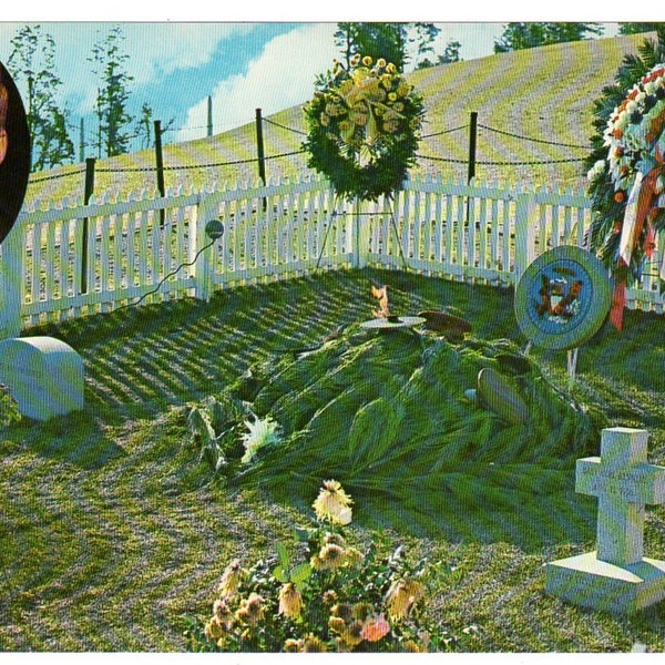 1960s John F Kennedy Giant Vintage Memorial Postcard Arlington National Cemetery