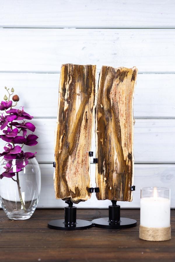 Double Petrified Wood Slab On Stand Uruguay Fossil