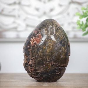 Petrified Wood Handmade Stone Egg, Stone Egg, Egg-Shaped Stone, STE0088