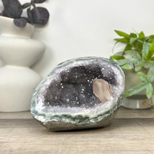以下が含まれることがあります： 深い紫色の紫水晶の結晶が内部に広がる空洞のジオード。中央からは、淡い色合いで滑らかな花びらのような形状の結晶が一つ突き出ている。外側の殻には、緑色と灰色の鉱物堆積物が層状の帯となって現れており、金属のような光沢を放っている。