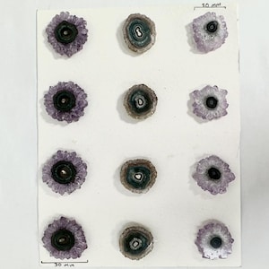 Genuine Amethyst & Green Jasper Stalactite Slices Flat - Perfect for Crafting Unique Jewelry -  STS0052