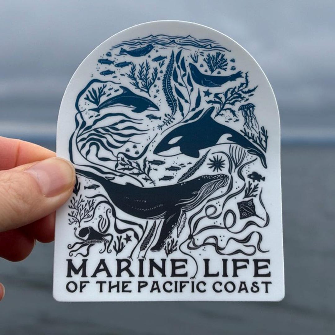 Marine Life of the Pacific Coast Ocean Colorful Vinyl Sticker for ...