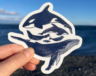 Whale Sticker | Sea Life | Ocean Sticker | Orca Sticker | Ocean Sticker for Laptop | Waterbottle | Humpback Whale Art