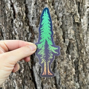 Tree Sticker | Decal | Sticker | Tree | Old Growth | Forest | Stag | Deer | Nature | Hiking | Outdoors | PNW | Spruce | Cedar | Pine