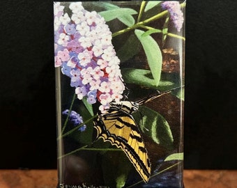Tiger Swallowtail Butterfly Fridge Magnet