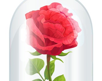 Beauty and the Beast rose