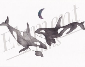 Arrecadação de fundos para caridade em aquarela Orca, pintura digital para download