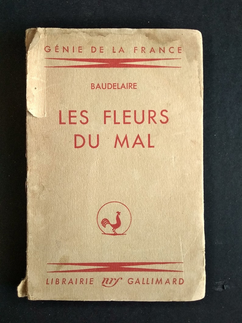 Les Fleurs Du Mal Nombre De Pages