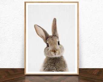 Bunny Nursery Print, INSTANT DOWNLOAD Printable Rabbit Wall Art, Rabbit Poster,  Rabbit Digital Print, Gender Neutral Nursery, Rabbit Print