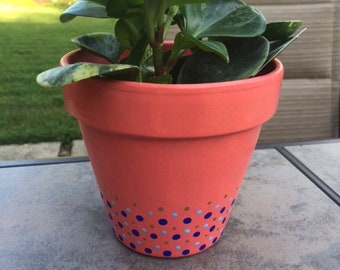 Basic Polkadot Terra Cotta Pot