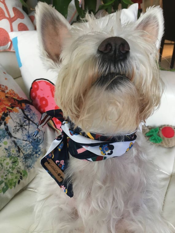 ,Neck Scarf 100/% cotton Lined Gift. Dog Neckerchief Dog Bandana Quality Bespoke Pink Tartan Embroidered Personalised