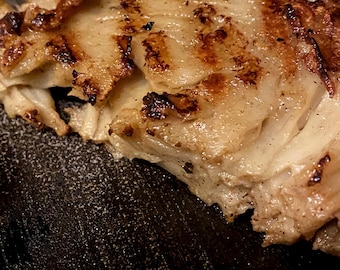 Grilled Vegan Chicken, Shredded, Plant Based, Meat Alternative Option, Soy Free (3 Pack)