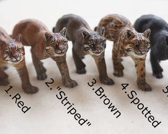 Asiatic Golden Cat-the Complete Feline Series Ireland