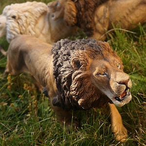 Lion-The Complete Feline Series