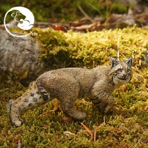 Bobcat: la serie felina completa