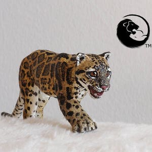 Sunda Clouded Leopard-The Complete Feline Series