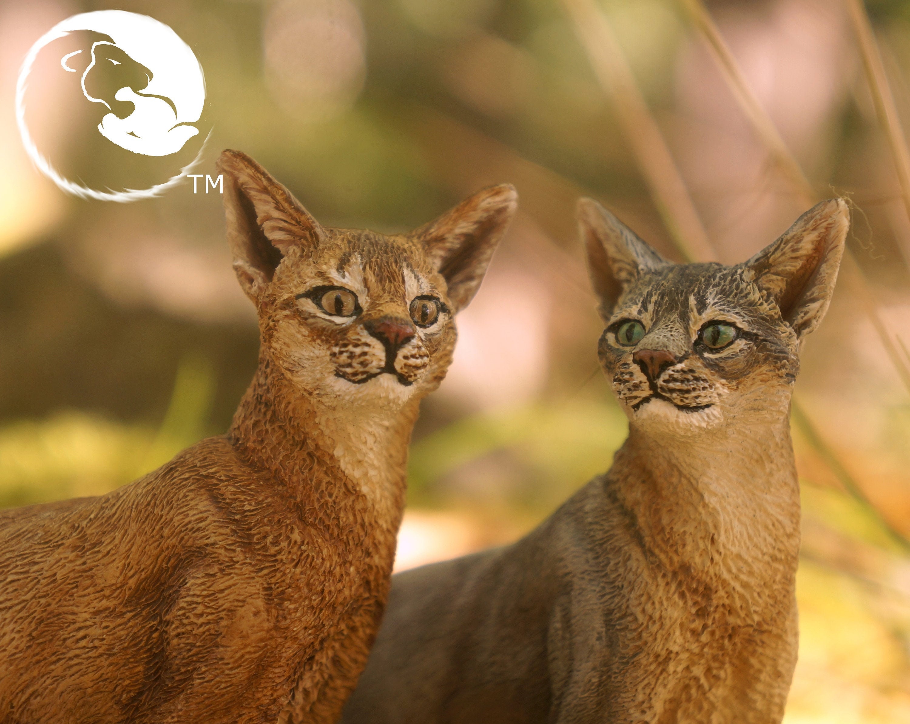 1:4 Abyssinian Cat