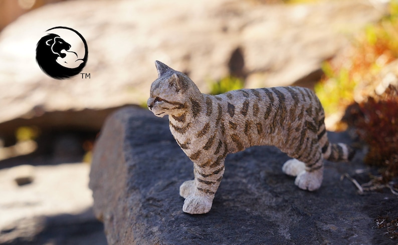 28 Top Photos Andean Mountain Cat Lifespan / Andean Mountain Cat - Digital★Impulse