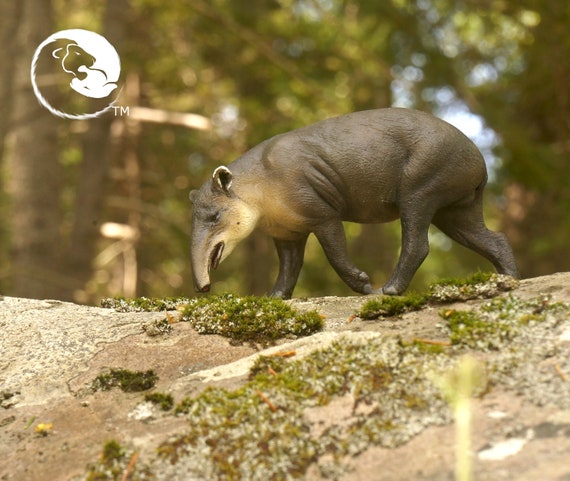 Central American Tapir/baird's Tapir-the 1:20 Tapirs - Etsy
