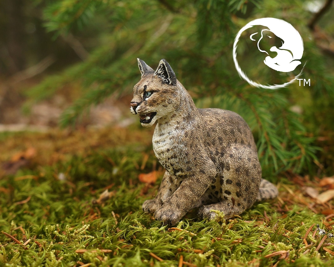 African Golden Cat-the Complete Feline Series