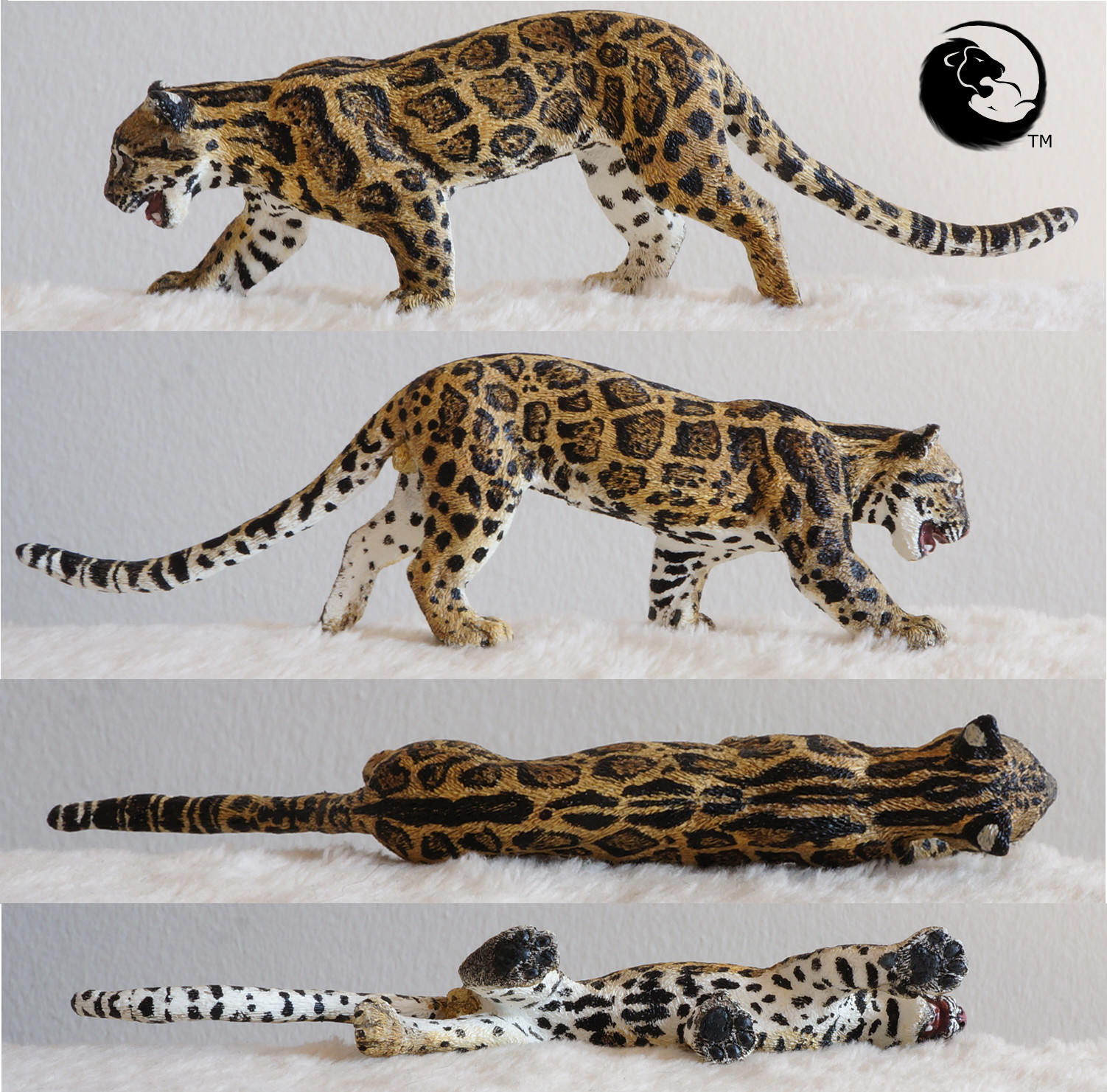 Sunda Clouded Leopard-the Complete Feline Series | Etsy