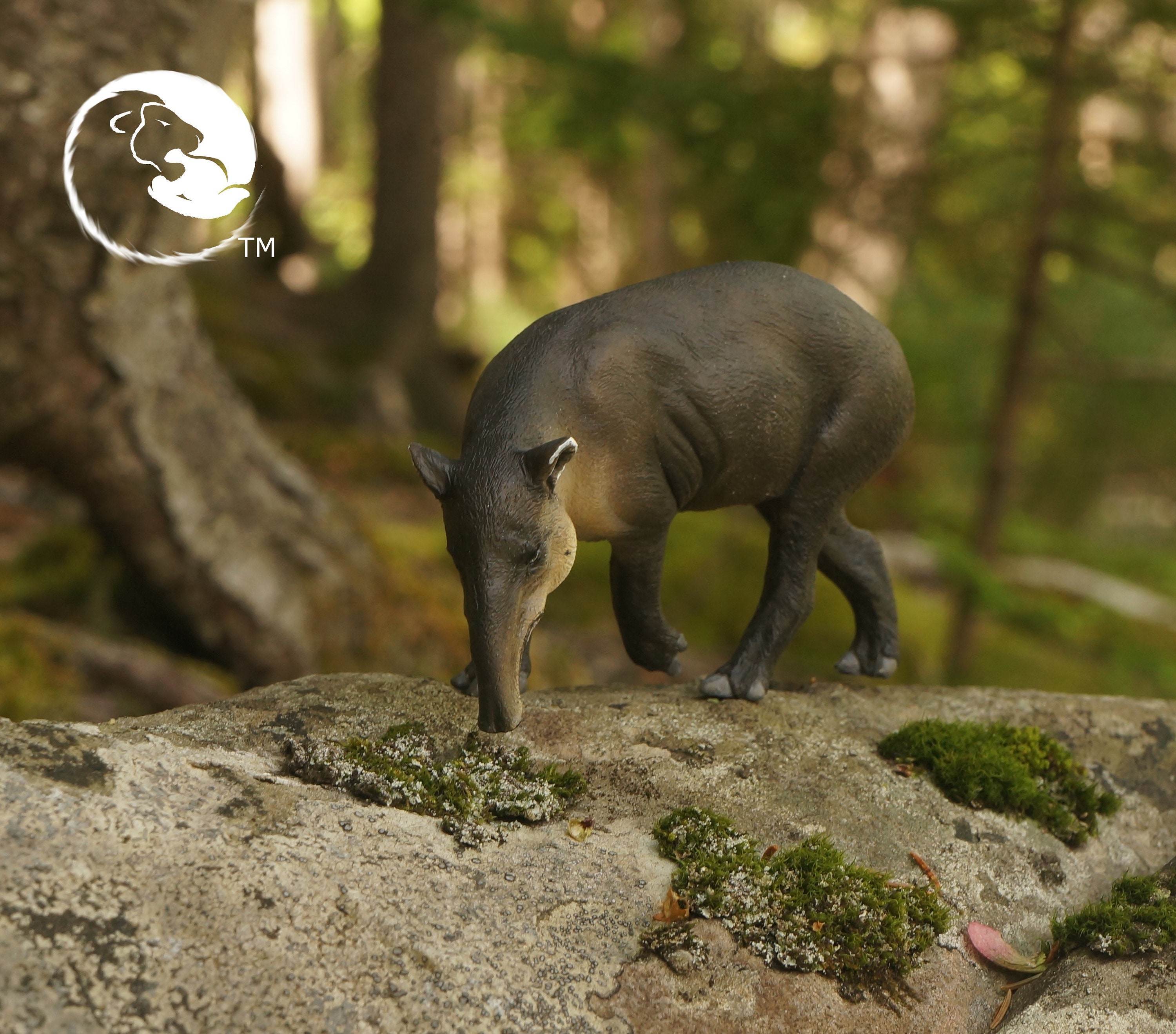 Central American Tapir/baird's Tapir-the 1:20 Tapirs - Etsy