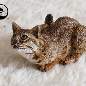 Rusty Spotted Cat-The Complete Feline Series