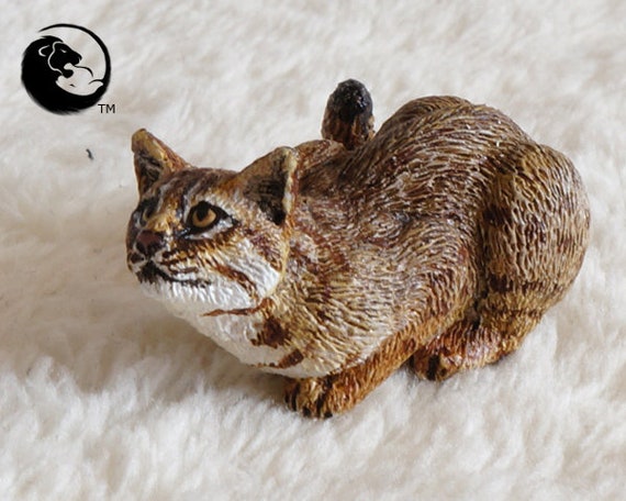 rusty spotted cat pet cost