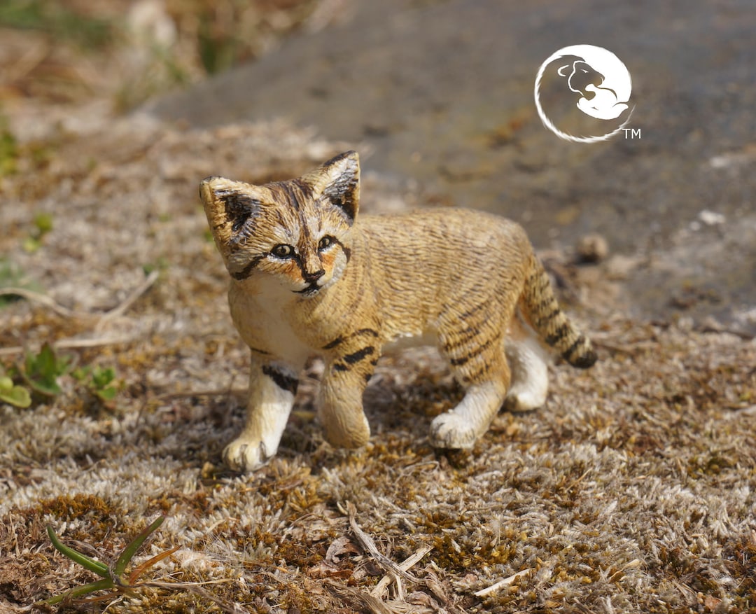 Sand Cat-the Complete Feline Series