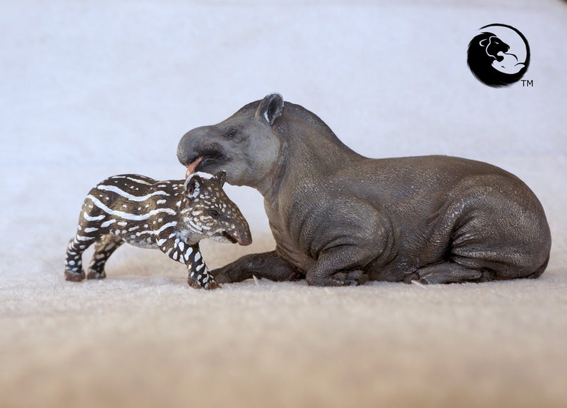 Lowland Tapir Calf-The 1:20 Tapirs image 3