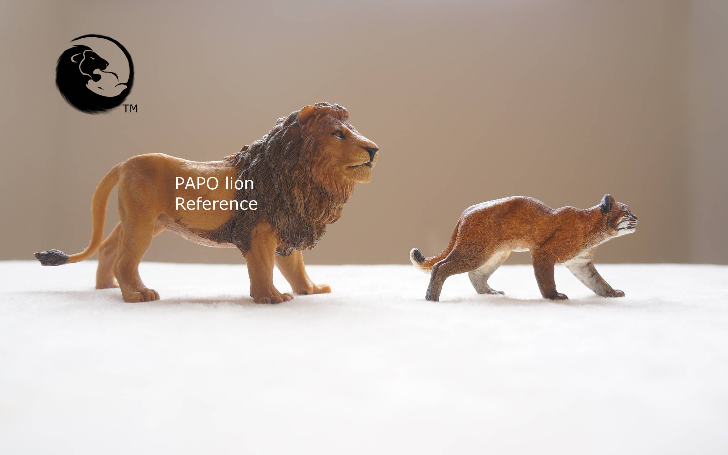 アジアティックゴールデンキャット - 完全な猫シリーズ - Etsy 日本