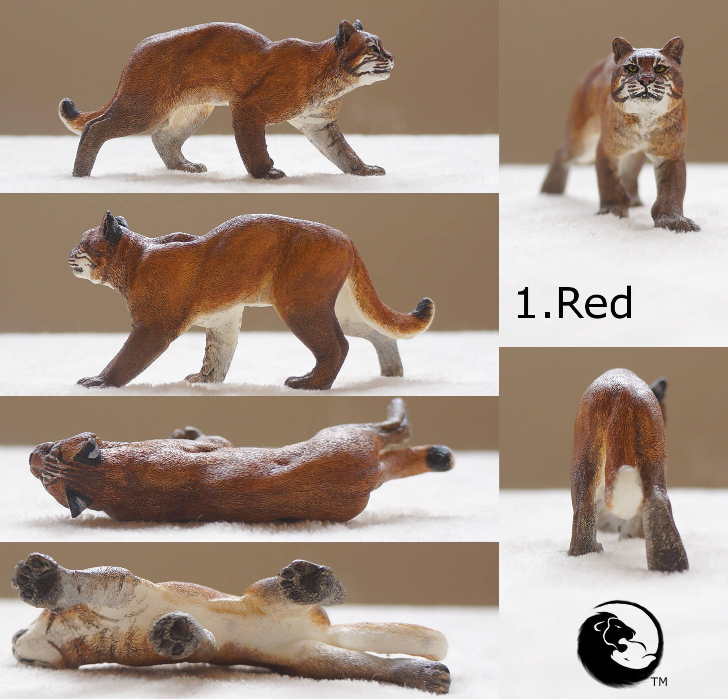 アジアティックゴールデンキャット - 完全な猫シリーズ - Etsy 日本