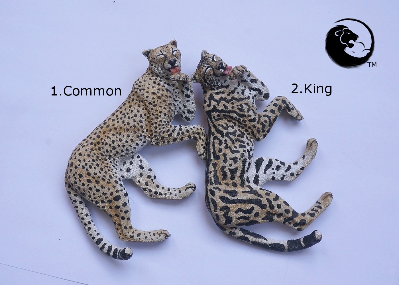 チーター - ネコ科動物シリーズ全集 - Etsy 日本