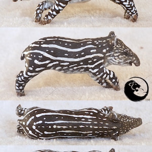 Lowland Tapir Calf-The 1:20 Tapirs image 4