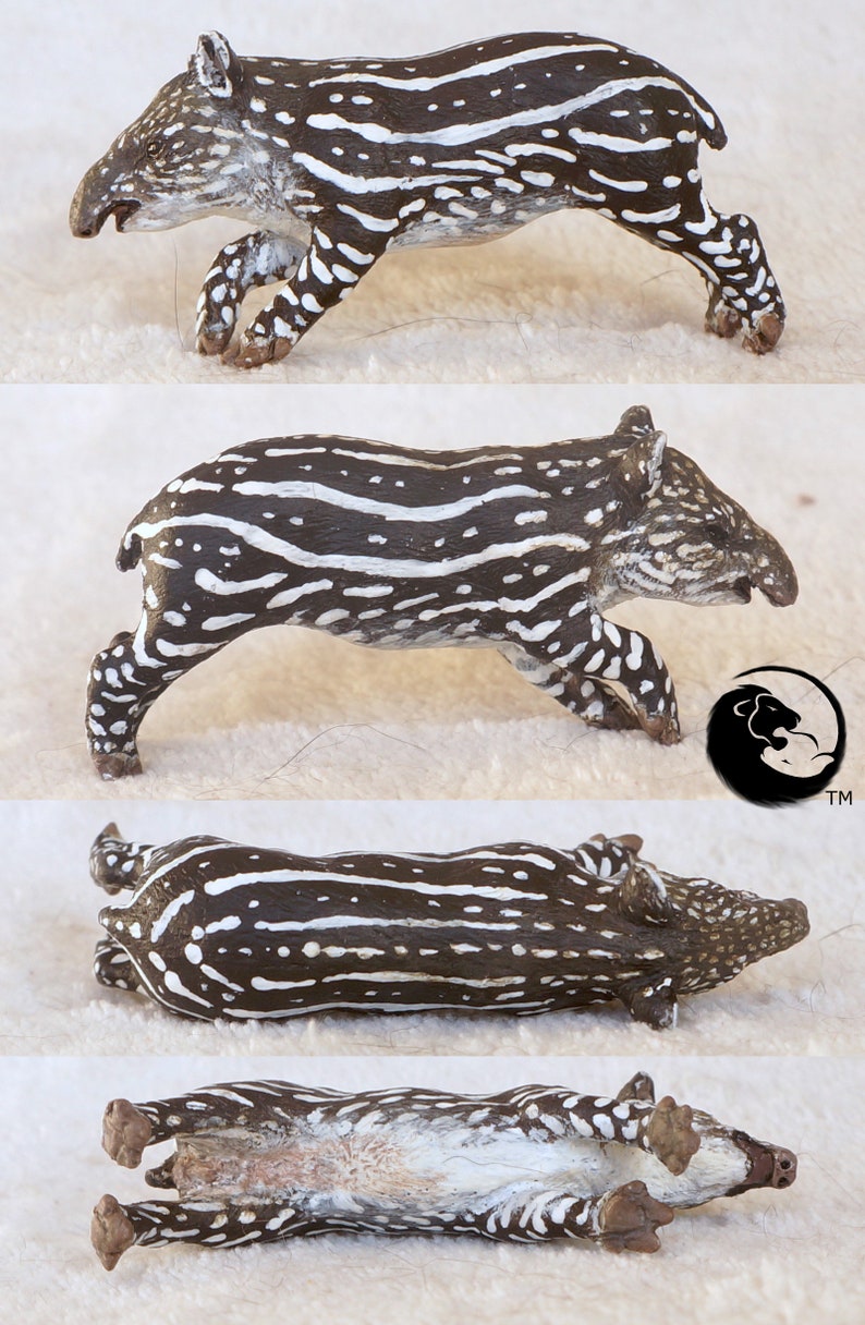 Lowland Tapir Calf-The 1:20 Tapirs image 4