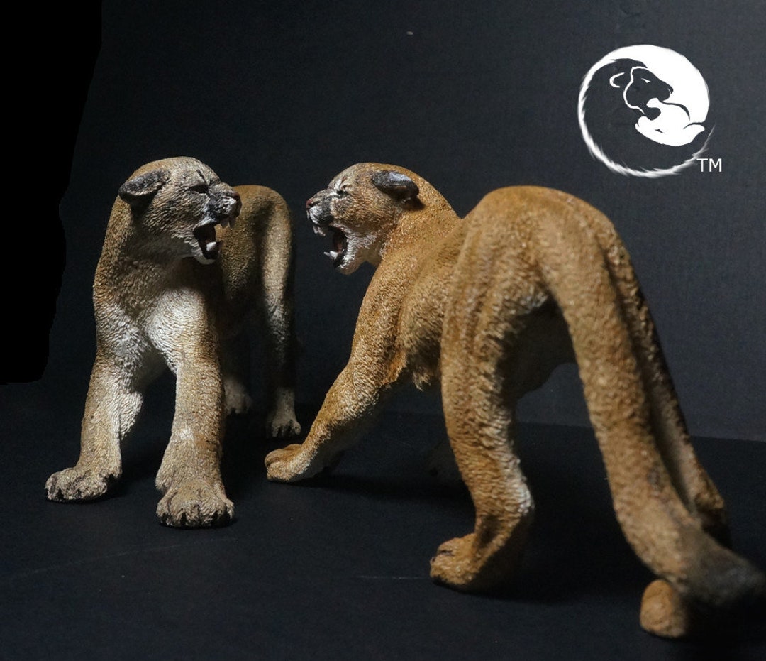 Puma Cougar the Complete Feline Series Etsy