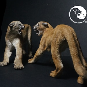Puma / Cougar-The Complete Feline Series