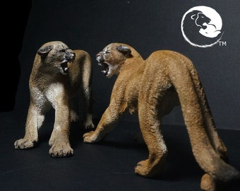 Puma / Cougar-A Série Felina Completa